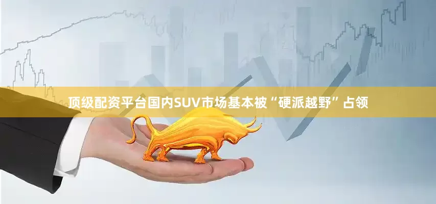 顶级配资平台国内SUV市场基本被“硬派越野”占领