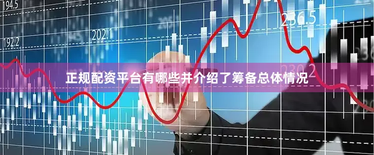 正规配资平台有哪些并介绍了筹备总体情况