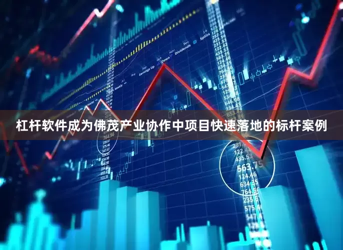 杠杆软件成为佛茂产业协作中项目快速落地的标杆案例